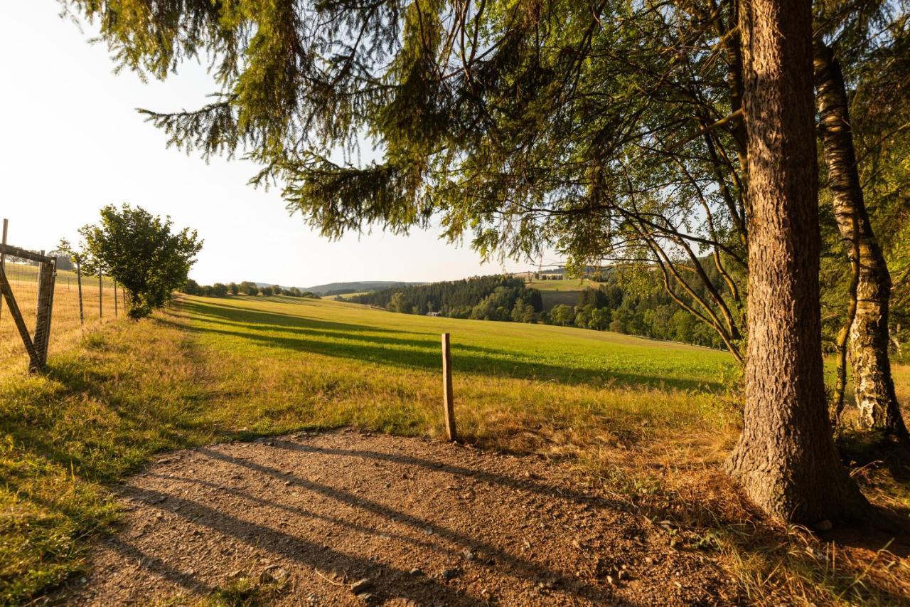 Waldgasthof & Hotel Am Sauwald Tannenberg Exterior photo