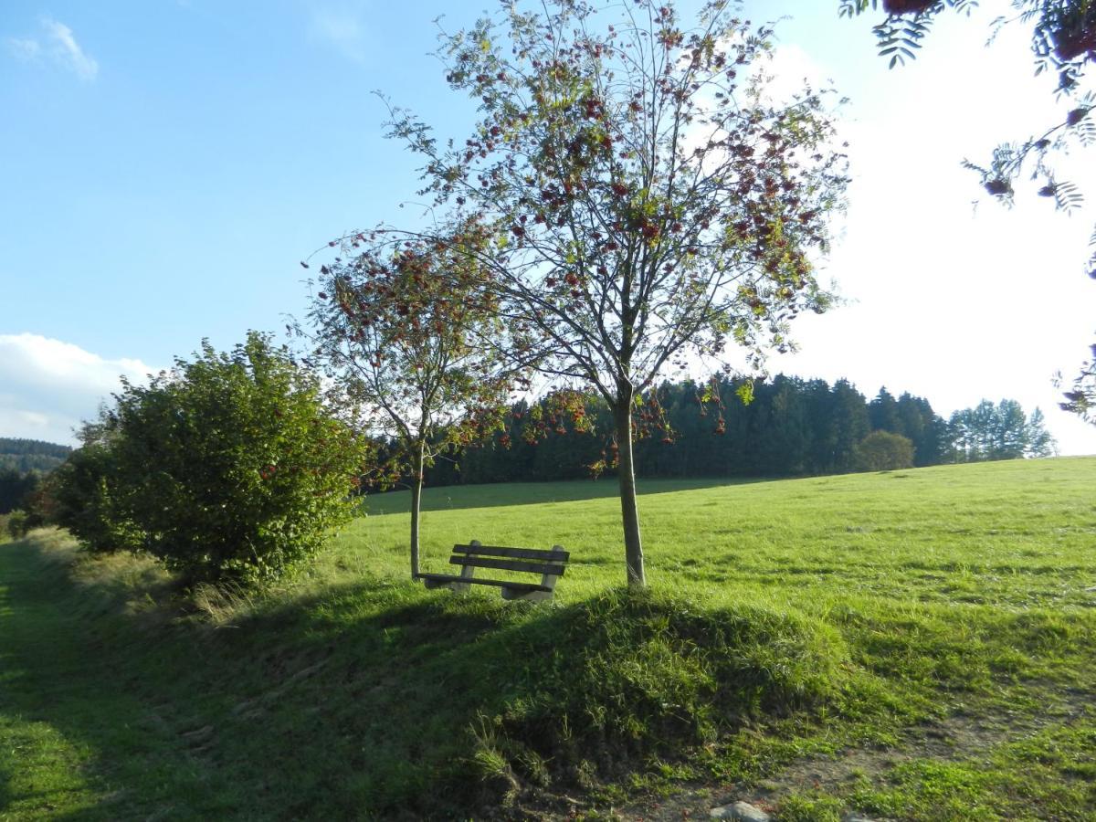 Waldgasthof & Hotel Am Sauwald Tannenberg Exterior photo