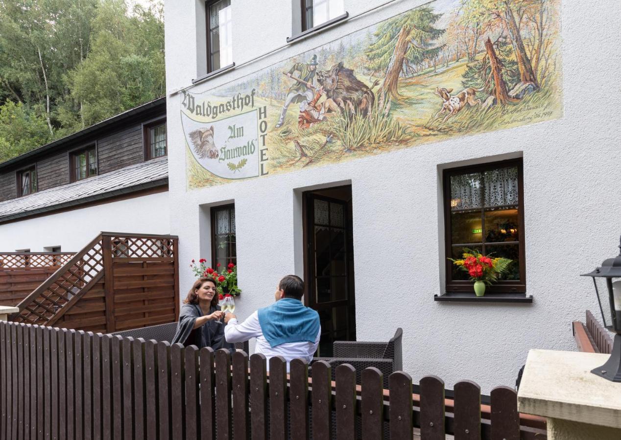 Waldgasthof & Hotel Am Sauwald Tannenberg Exterior photo