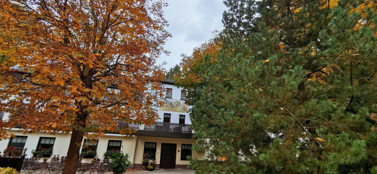 Waldgasthof & Hotel Am Sauwald Tannenberg Exterior photo