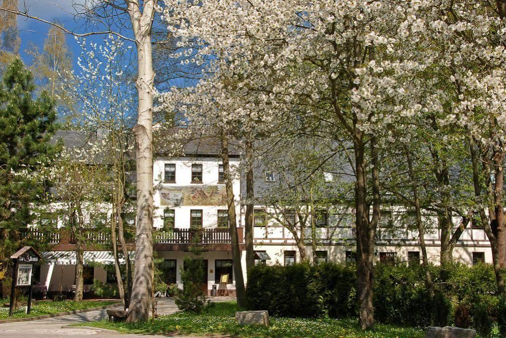 Waldgasthof & Hotel Am Sauwald Tannenberg Exterior photo